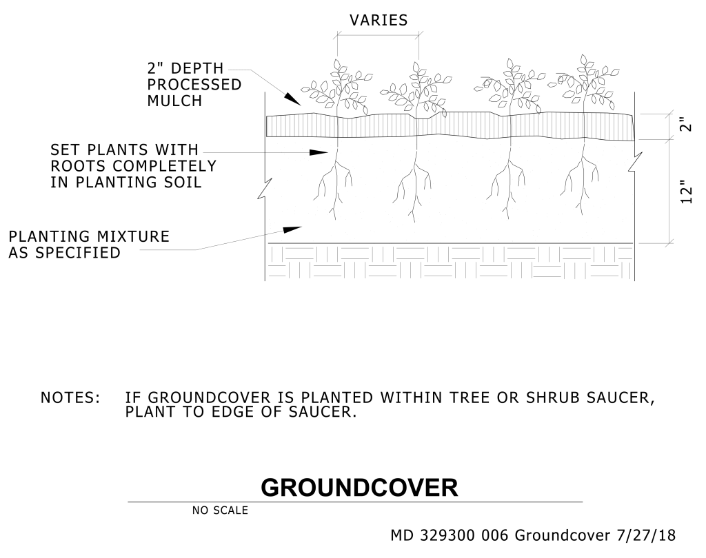 Technical illustration of groundcover planting instructions with dimensions and notes.